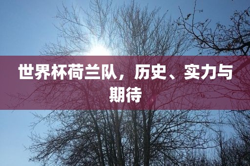 世界杯荷兰队，历史、实力与期待
