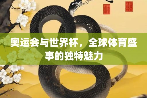 奥运会与世界杯，全球体育盛事的独特魅力