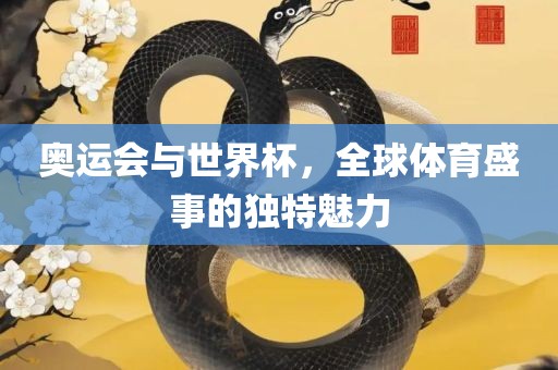 奥运会与世界杯，全球体育盛事的独特魅力