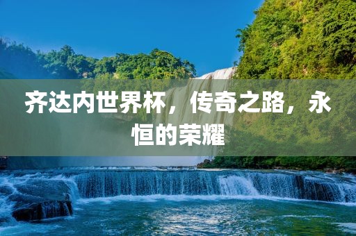 齐达内世界杯，传奇之路，永恒的荣耀