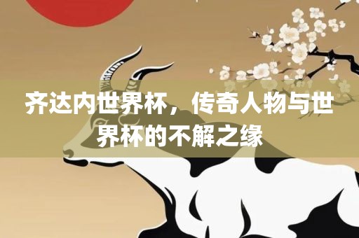齐达内世界杯，传奇人物与世界杯的不解之缘