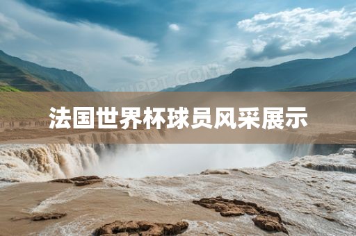 法国世界杯球员风采展示