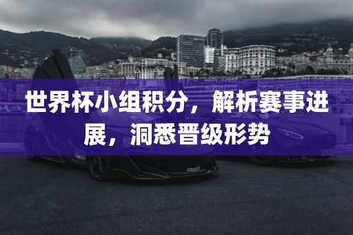 世界杯小组积分，解析赛事进展，洞悉晋级形势