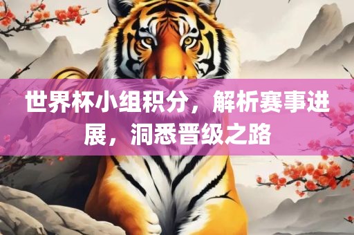 世界杯小组积分，解析赛事进展，洞悉晋级之路