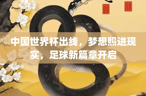 中国世界杯出线，梦想照进现实，足球新篇章开启