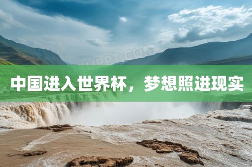 中国进入世界杯，梦想照进现实