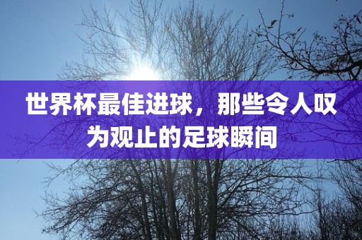 世界杯最佳进球，那些令人叹为观止的足球瞬间