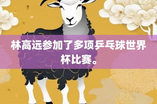 林高远参加了多项乒乓球世界杯比赛。