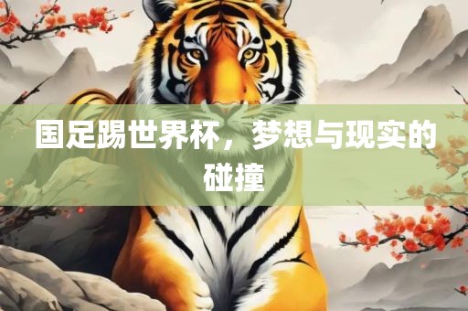 国足踢世界杯，梦想与现实的碰撞
