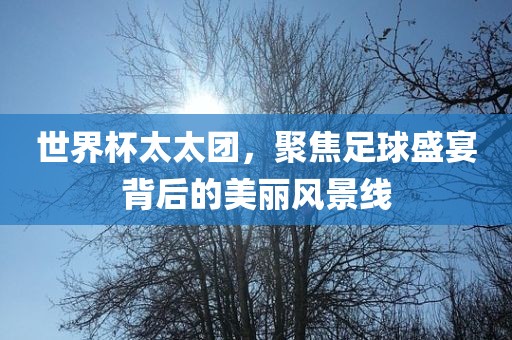 世界杯太太团，聚焦足球盛宴背后的美丽风景线