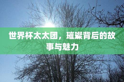 世界杯太太团，璀璨背后的故事与魅力