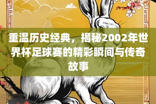 重温历史经典，揭秘2002年世界杯足球赛的精彩瞬间与传奇故事