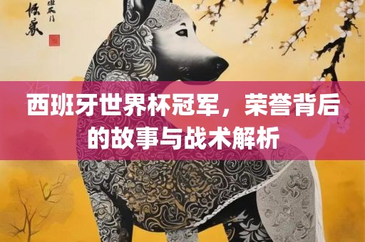 西班牙世界杯冠军，荣誉背后的故事与战术解析