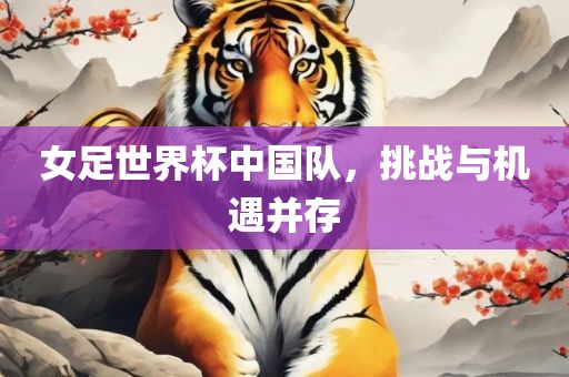 女足世界杯中国队，挑战与机遇并存