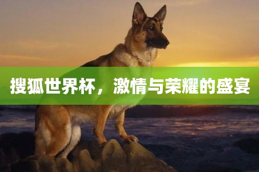 搜狐世界杯，激情与荣耀的盛宴