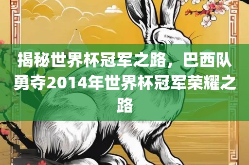 揭秘世界杯冠军之路，巴西队勇夺2014年世界杯冠军荣耀之路