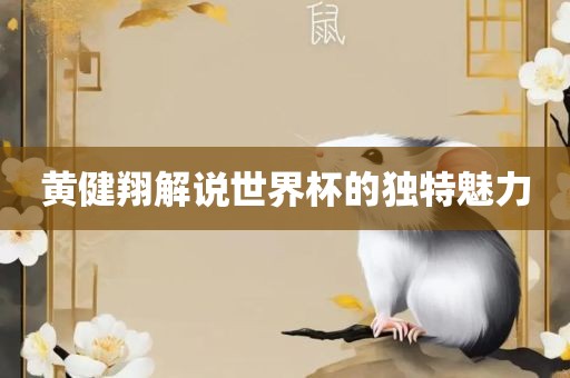 黄健翔解说世界杯的独特魅力