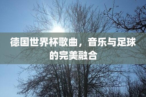 德国世界杯歌曲，音乐与足球的完美融合