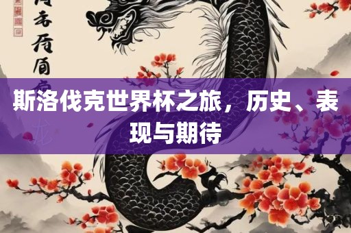 斯洛伐克世界杯之旅，历史、表现与期待
