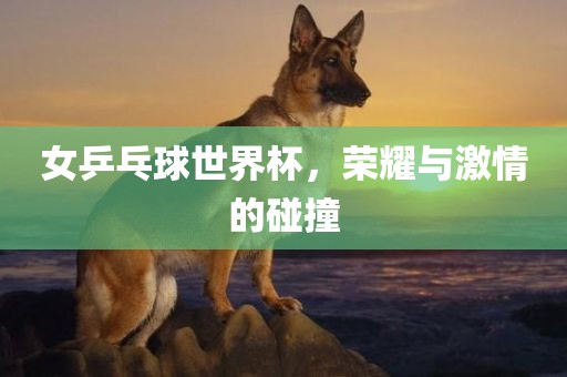 女乒乓球世界杯，荣耀与激情的碰撞