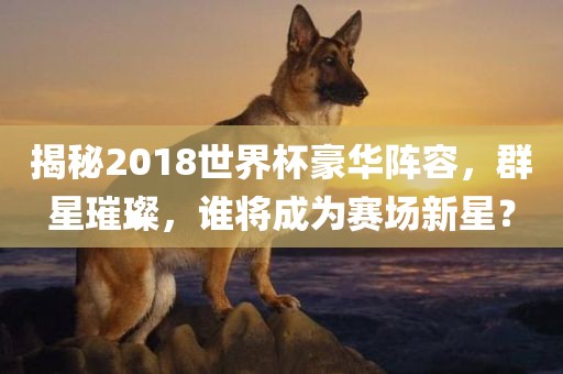 揭秘2018世界杯豪华阵容，群星璀璨，谁将成为赛场新星？