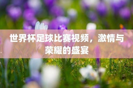 世界杯足球比赛视频，激情与荣耀的盛宴
