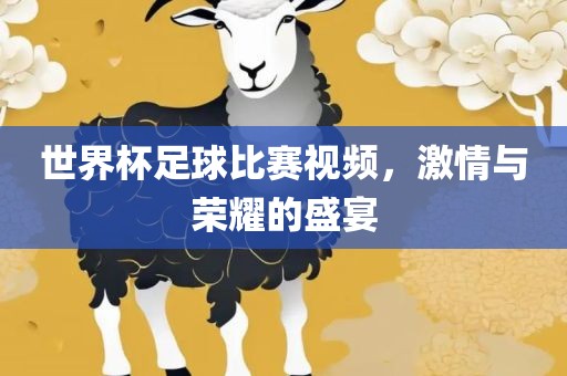世界杯足球比赛视频，激情与荣耀的盛宴
