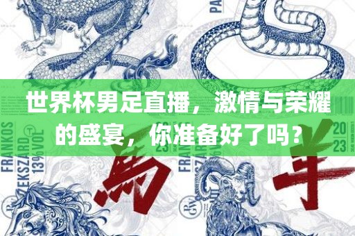 世界杯男足直播，激情与荣耀的盛宴，你准备好了吗？