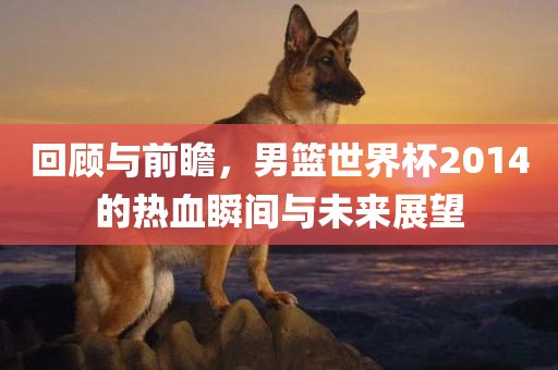 回顾与前瞻，男篮世界杯2014的热血瞬间与未来展望