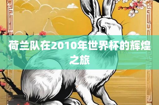 荷兰队在2010年世界杯的辉煌之旅