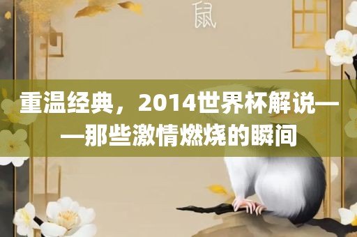 重温经典，2014世界杯解说——那些激情燃烧的瞬间