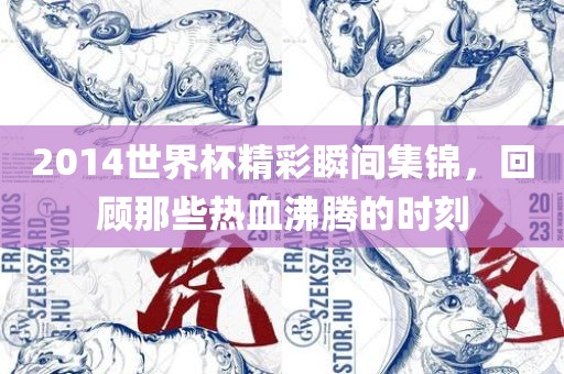 2014世界杯精彩瞬间集锦，回顾那些热血沸腾的时刻