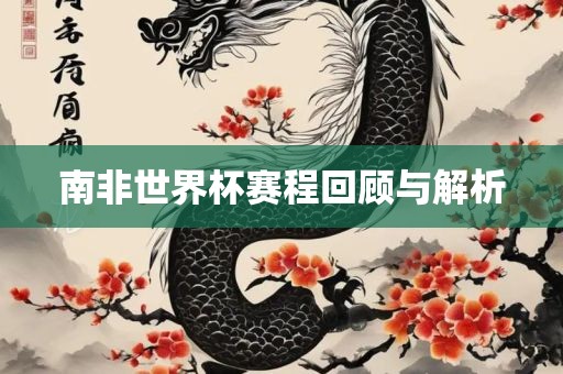 南非世界杯赛程回顾与解析