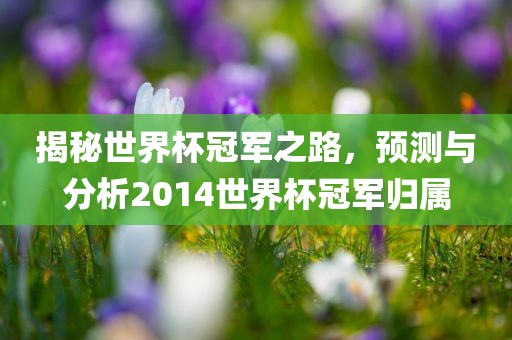 揭秘世界杯冠军之路，预测与分析2014世界杯冠军归属