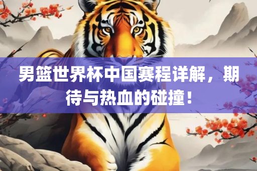 男篮世界杯中国赛程详解，期待与热血的碰撞！