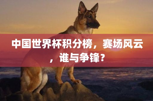中国世界杯积分榜，赛场风云，谁与争锋？