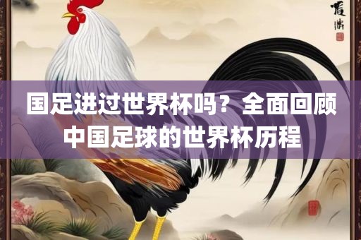 国足进过世界杯吗？全面回顾中国足球的世界杯历程