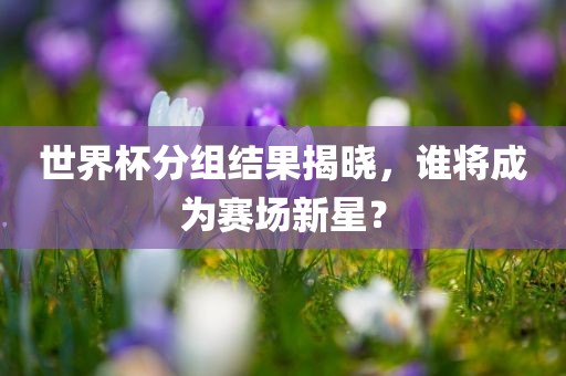 世界杯分组结果揭晓，谁将成为赛场新星？