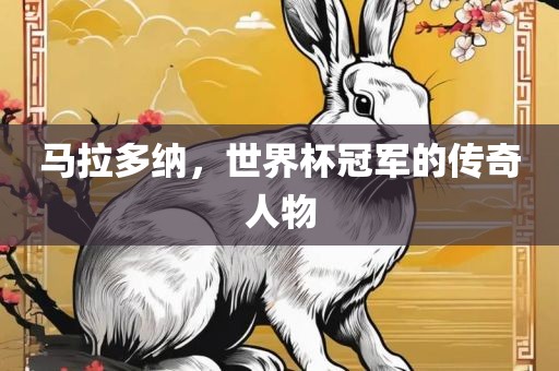 马拉多纳，世界杯冠军的传奇人物