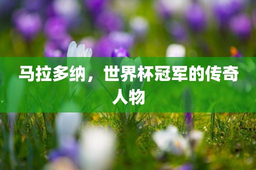 马拉多纳，世界杯冠军的传奇人物