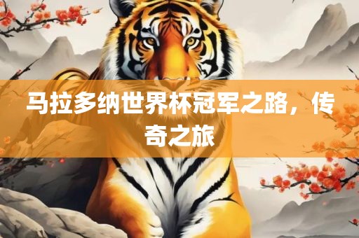 马拉多纳世界杯冠军之路，传奇之旅