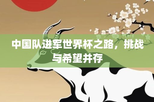 中国队进军世界杯之路，挑战与希望并存