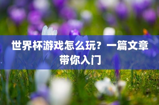 世界杯游戏怎么玩？一篇文章带你入门