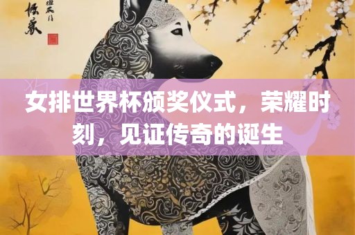 女排世界杯颁奖仪式，荣耀时刻，见证传奇的诞生