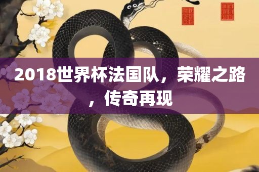 2018世界杯法国队，荣耀之路，传奇再现