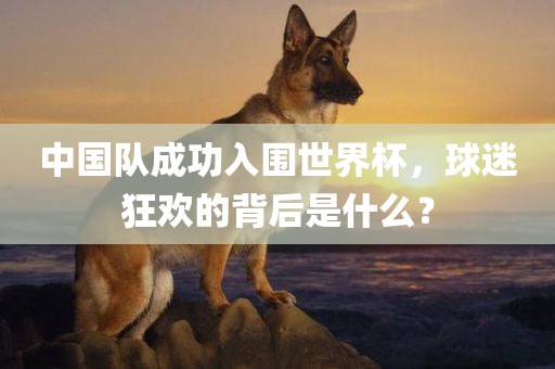 中国队成功入围世界杯，球迷狂欢的背后是什么？