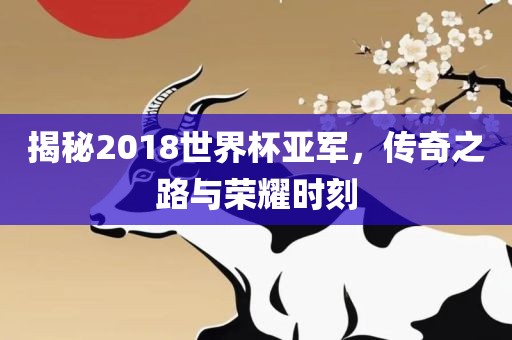 揭秘2018世界杯亚军，传奇之路与荣耀时刻