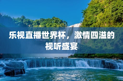 乐视直播世界杯，激情四溢的视听盛宴