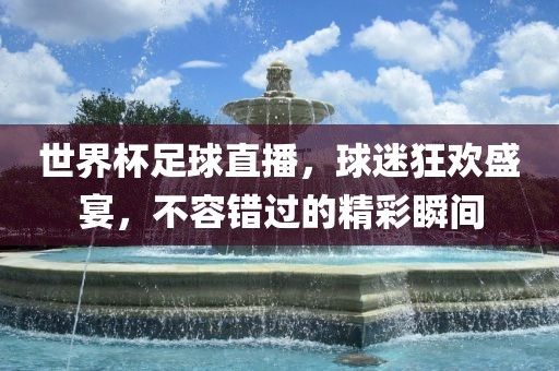世界杯足球直播，球迷狂欢盛宴，不容错过的精彩瞬间