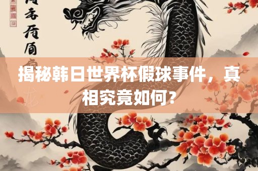 揭秘韩日世界杯假球事件，真相究竟如何？